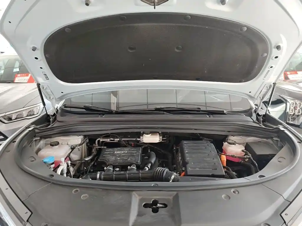 BYD L DM-i — фото 19