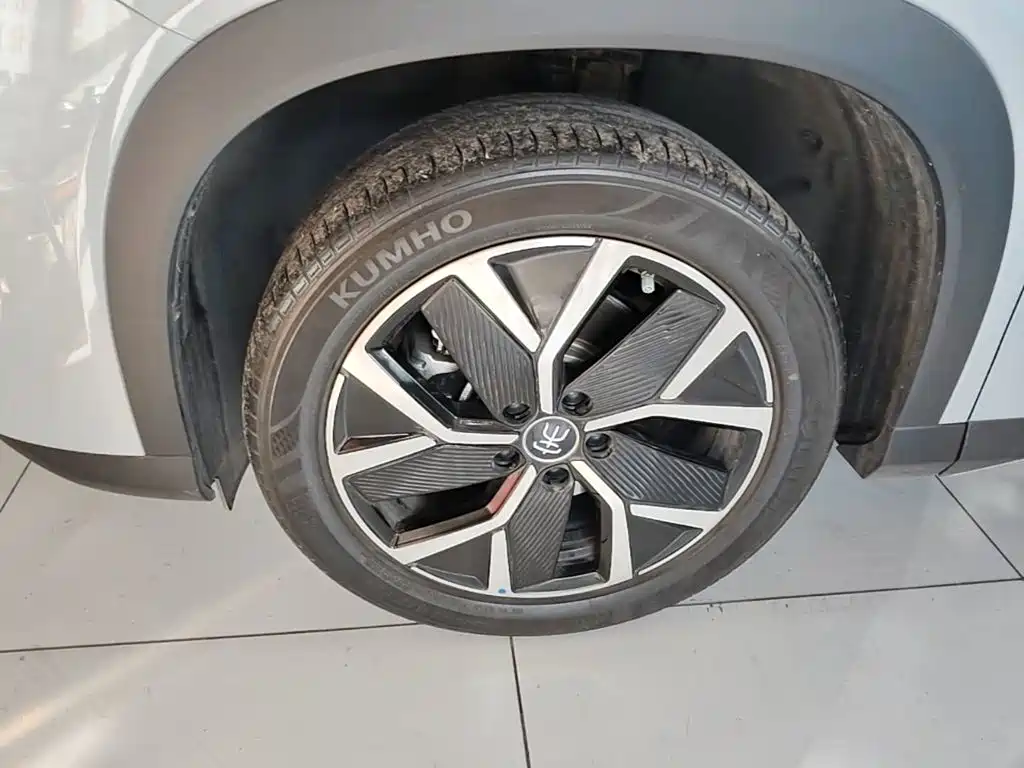 BYD L DM-i — фото 22