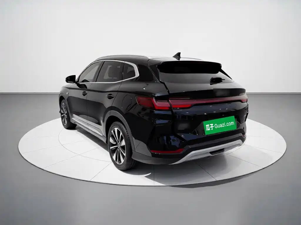 BYD PLUS New Energy — фото 4