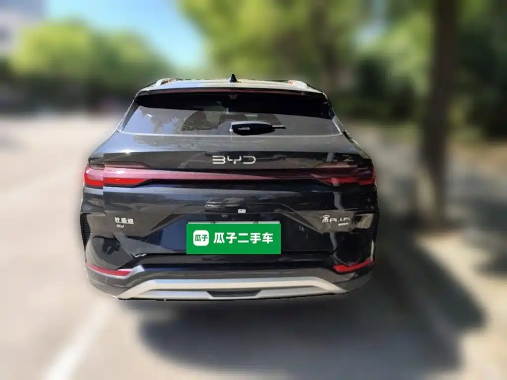 BYD PLUS New Energy — фото 5