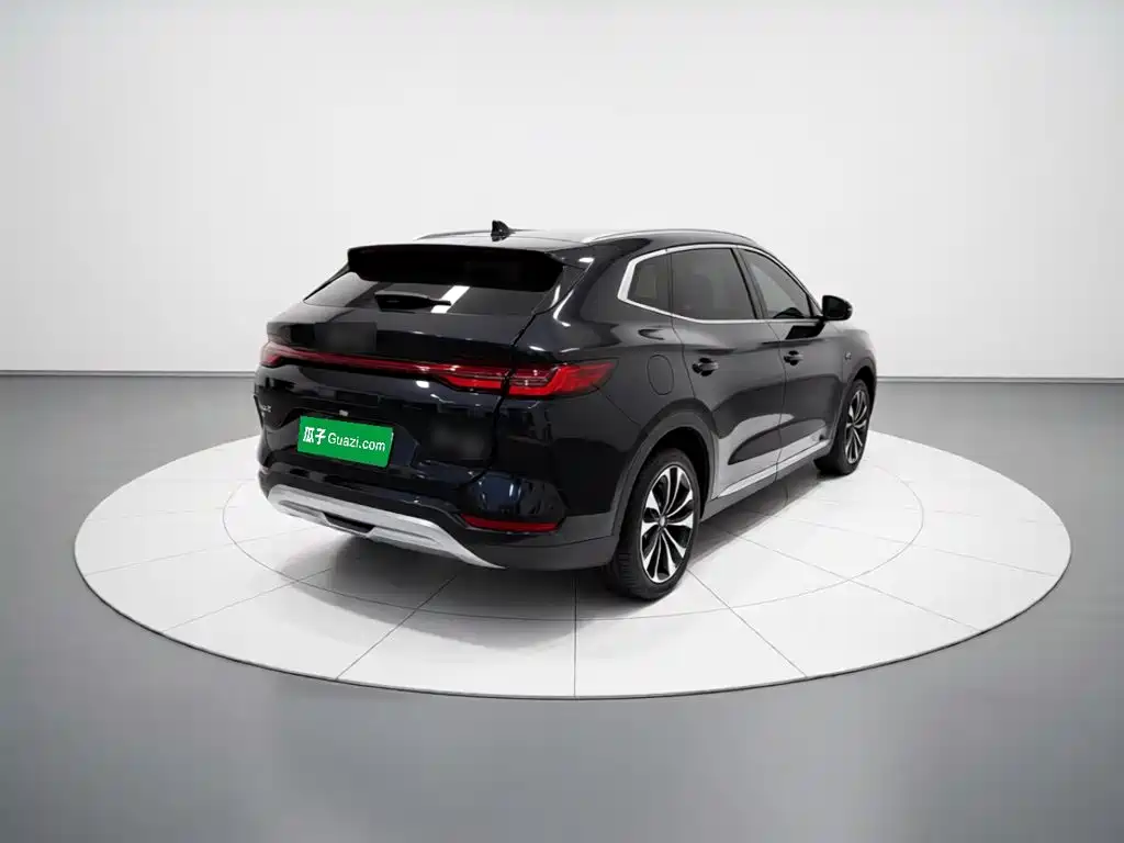 BYD PLUS New Energy — фото 6