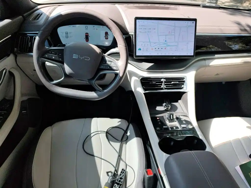 BYD PLUS New Energy — фото 10