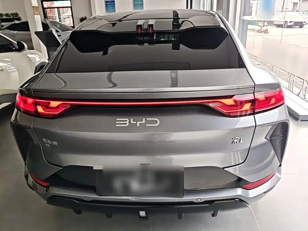 BYD L EV — фото 5