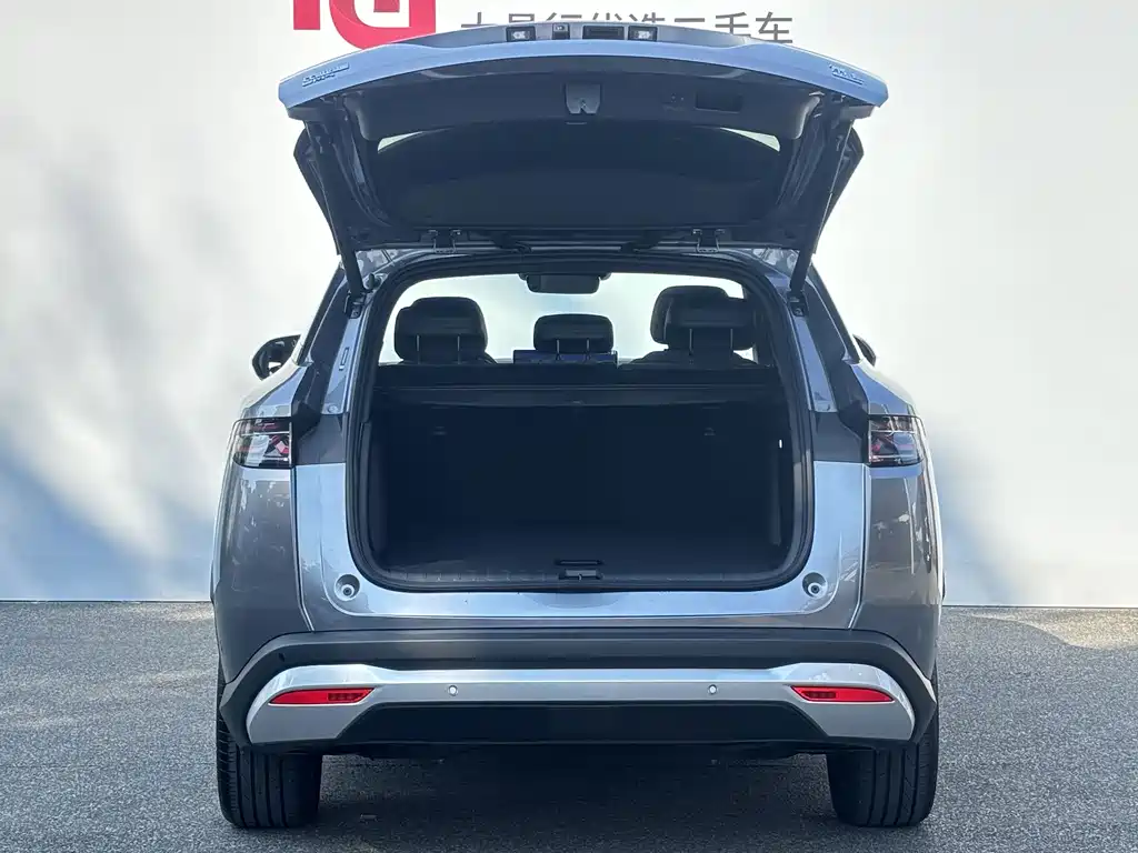 BYD L DM-i — фото 8