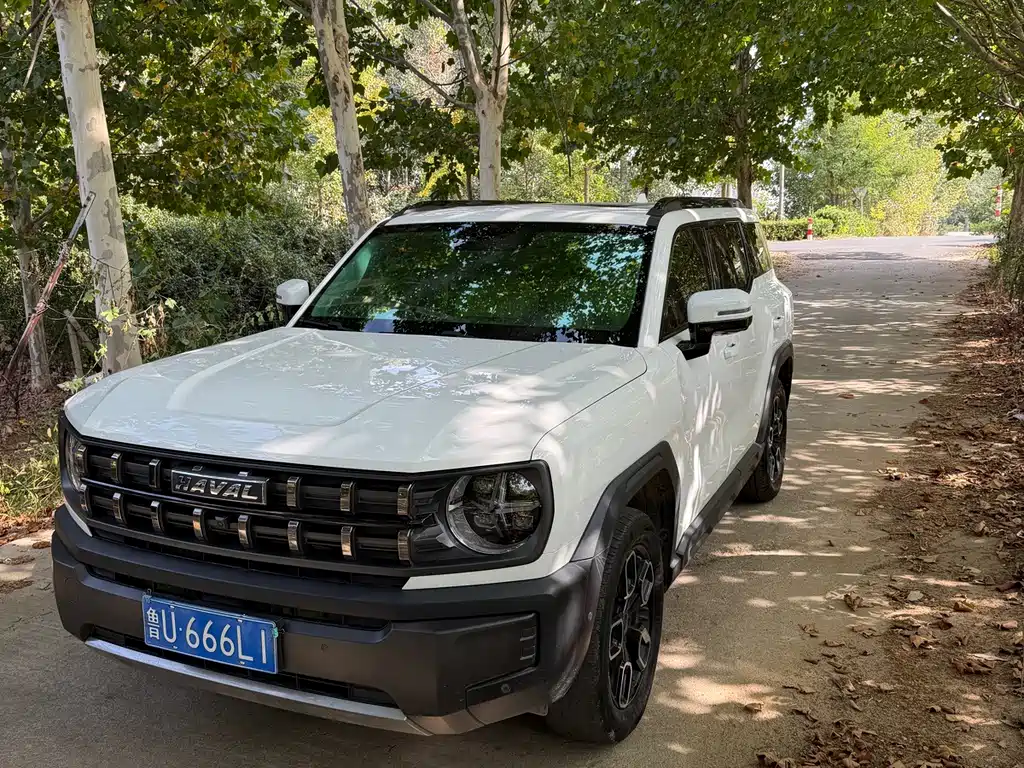 Haval Cool Dog — фото 2