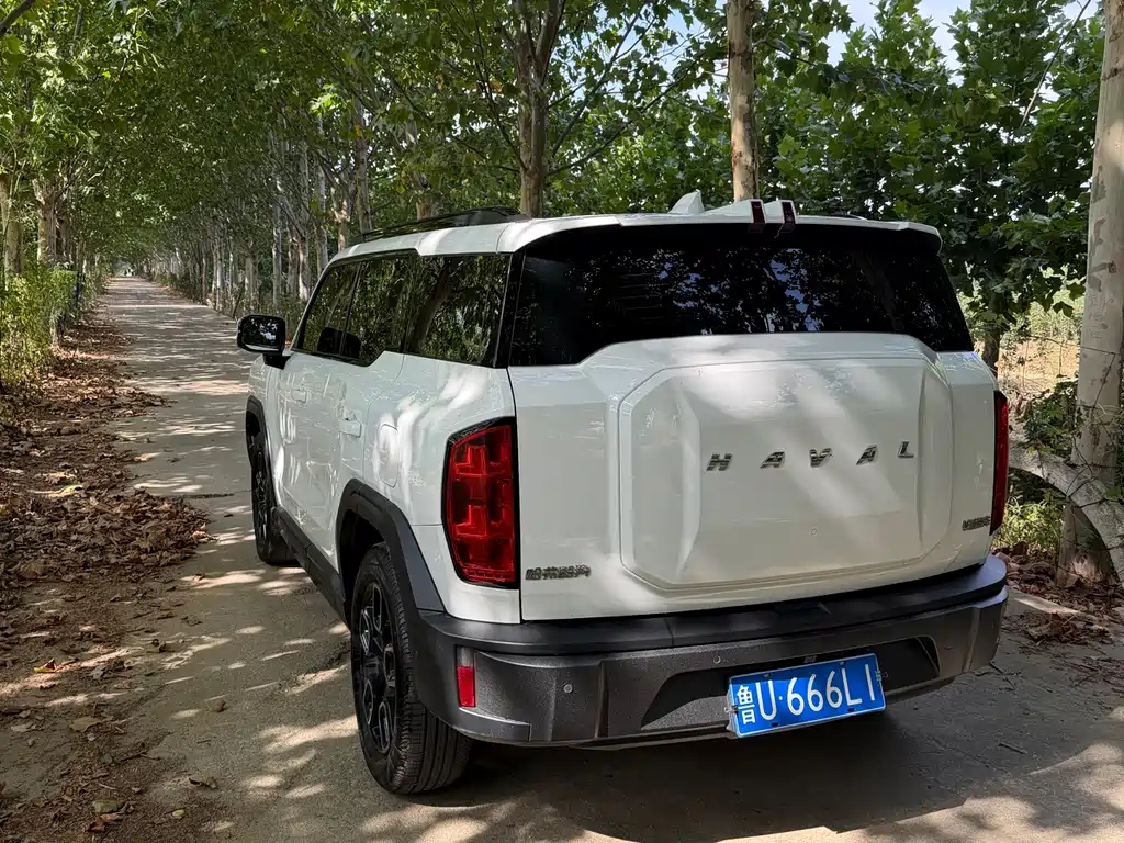 Haval Cool Dog — фото 4
