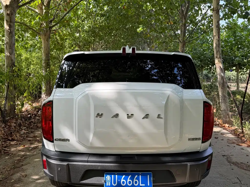 Haval Cool Dog — фото 5