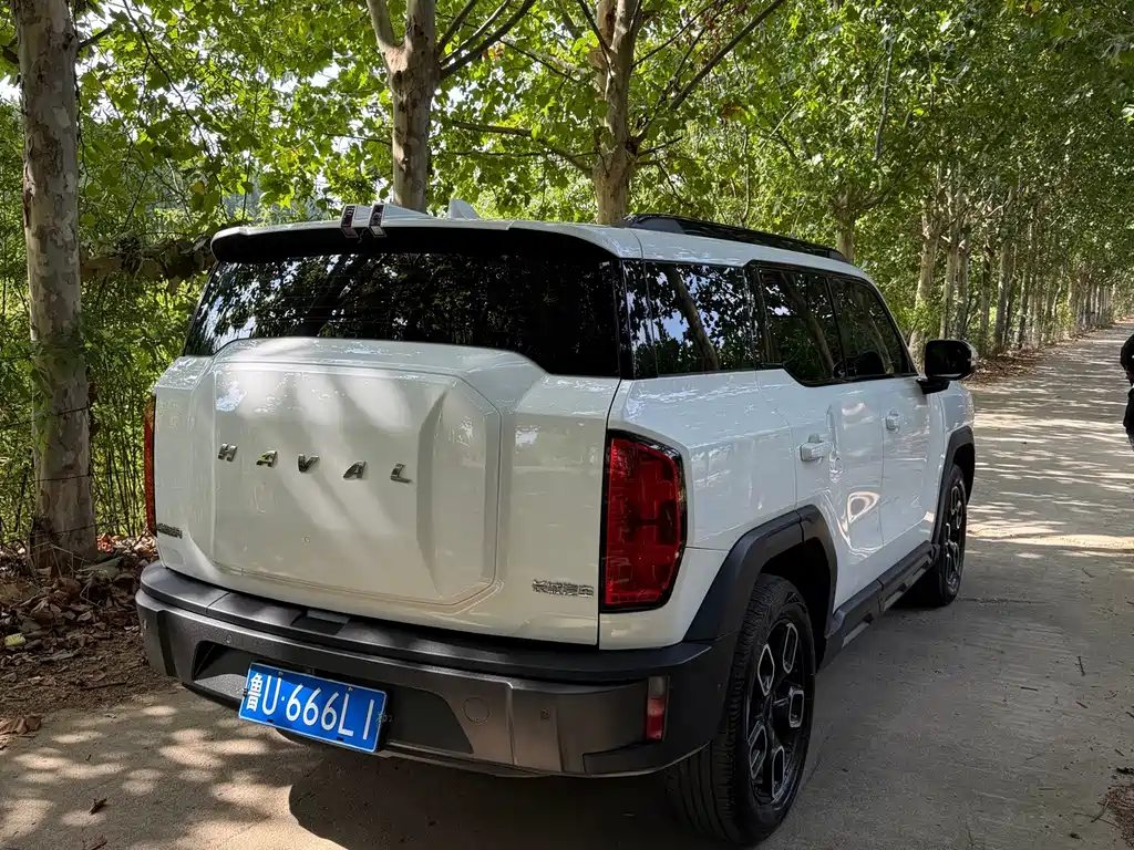 Haval Cool Dog — фото 6