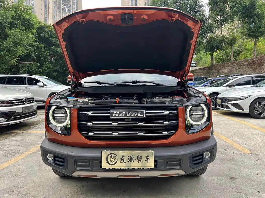 Haval Big Dog — фото 4