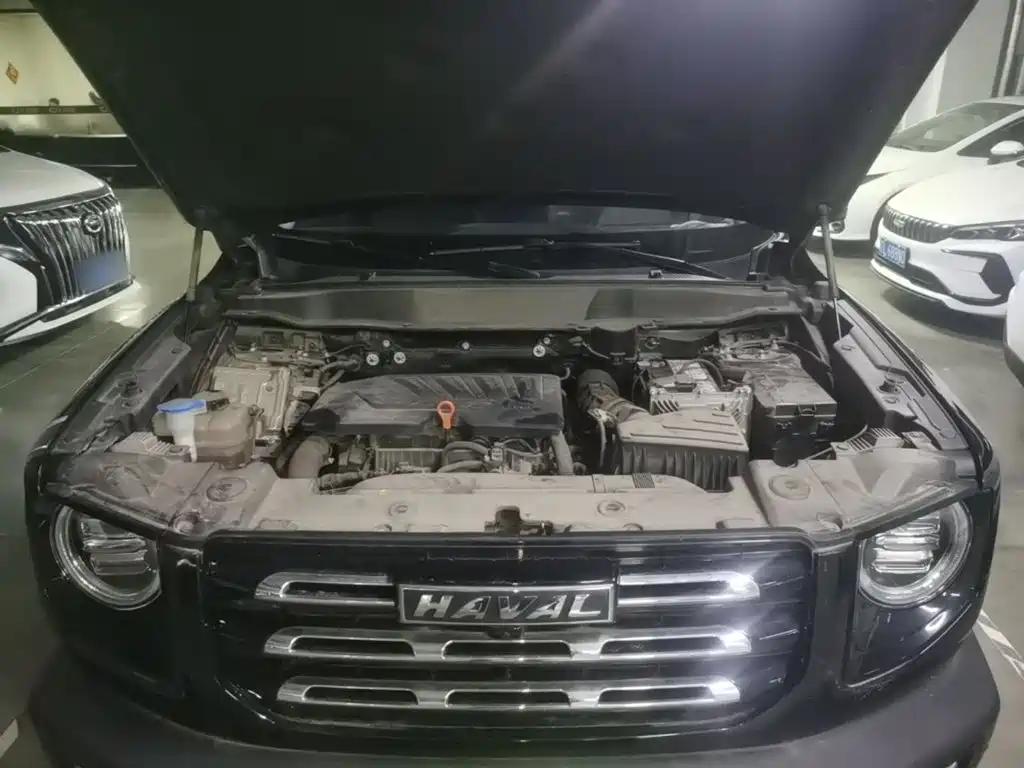 Haval Big Dog — фото 19