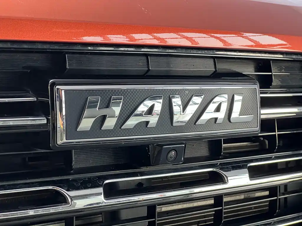Haval Big Dog — фото 5