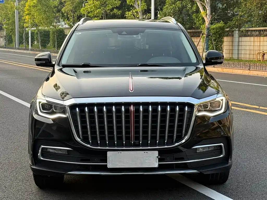 Hongqi Hongqi HS7 — фото 2