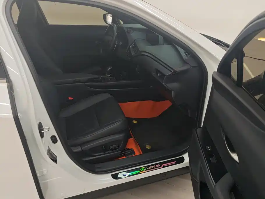Lexus UX New Energy — фото 8