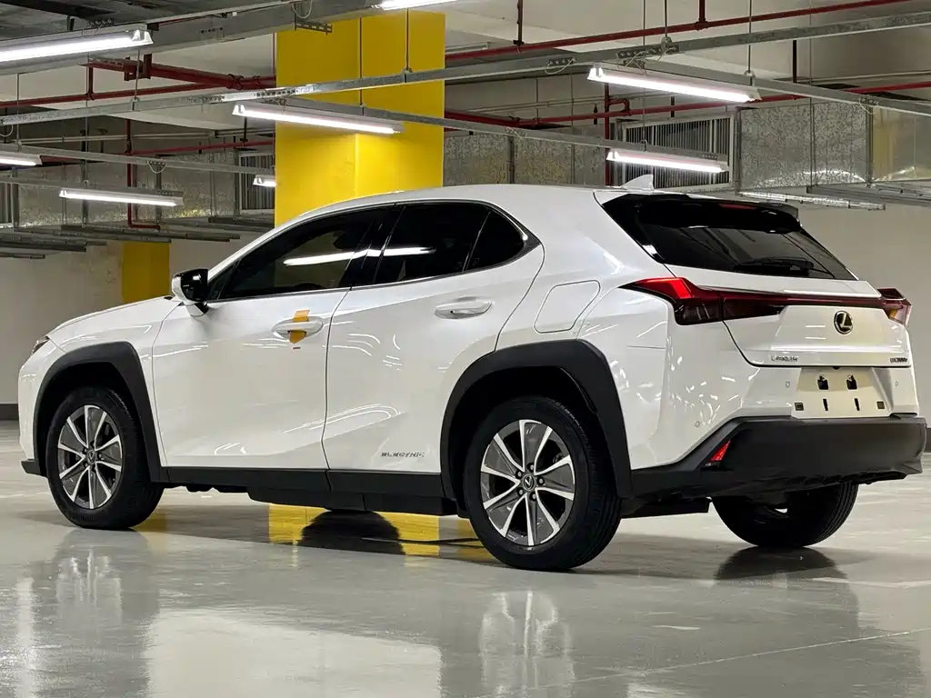 Lexus UX New Energy — фото 7