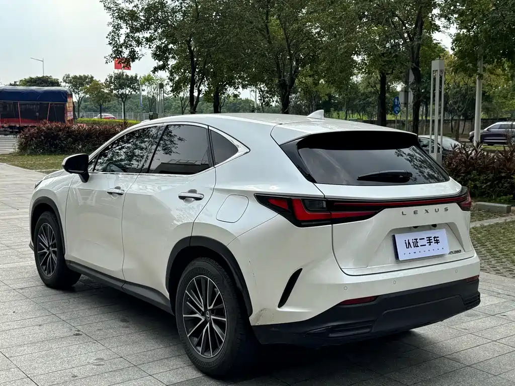 Lexus NX — фото 11