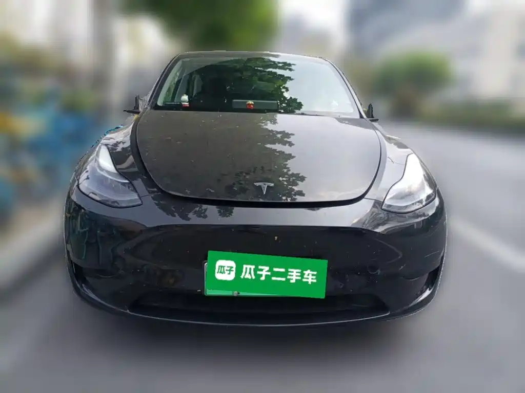 Tesla Model Y — фото 2
