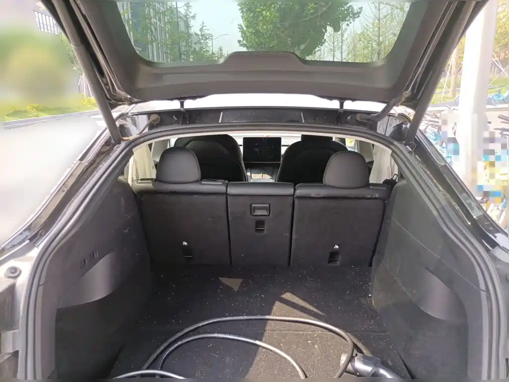 Tesla Model Y — фото 15