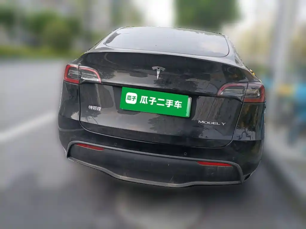 Tesla Model Y — фото 3
