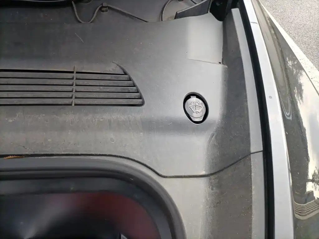 Tesla Model Y — фото 22