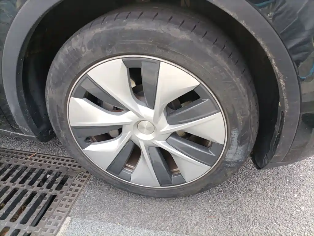 Tesla Model Y — фото 25