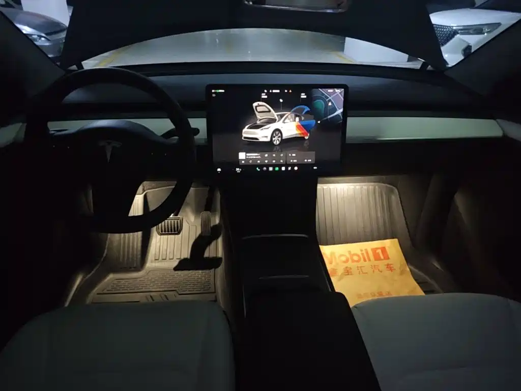 Tesla Model Y — фото 11
