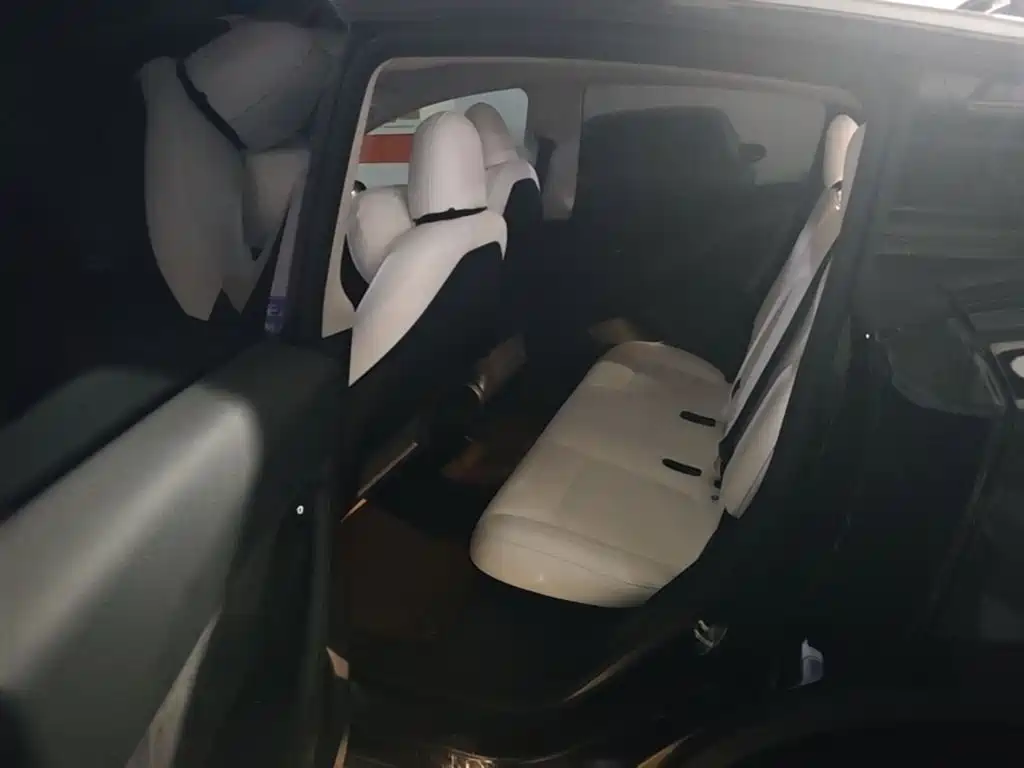 Tesla Model Y — фото 19