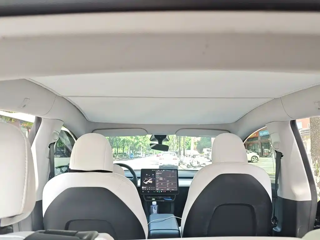 Tesla Model Y — фото 20