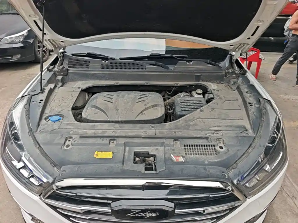 Zotye Zotye T300 — фото 19