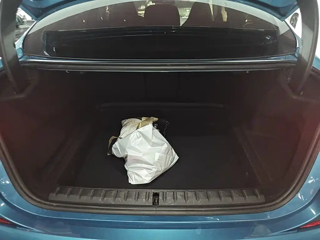 BMW 2 Series (Import) — фото 18