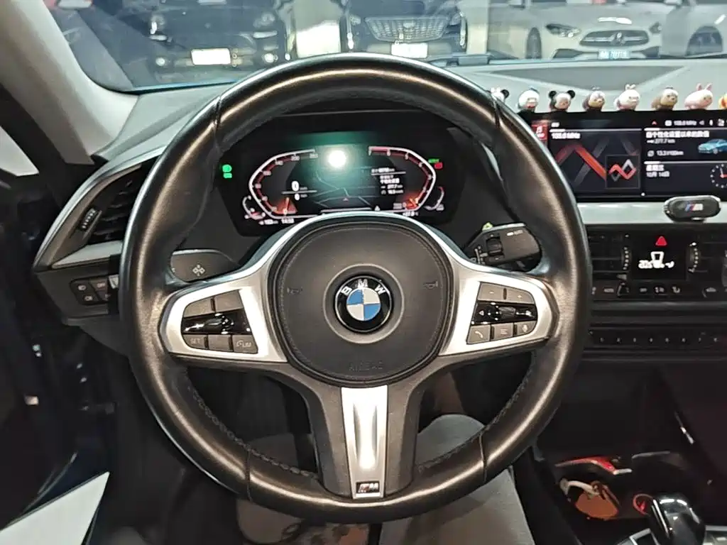 BMW 2 Series (Import) — фото 10