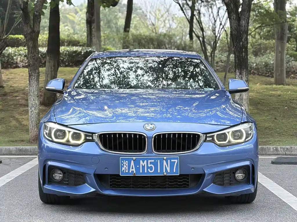 BMW 4 Series — фото 2