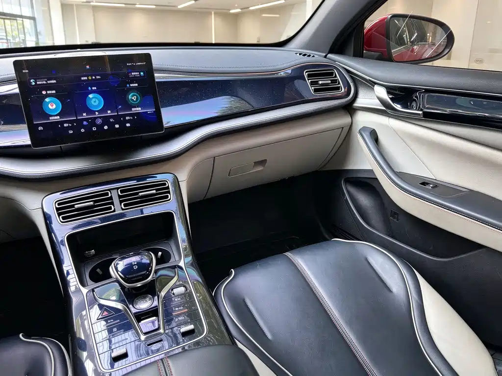 BYD Qin PLUS — фото 15