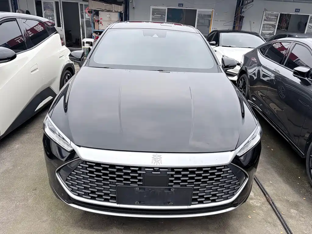 BYD Qin PLUS — фото 2