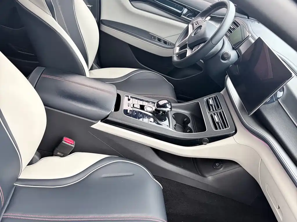 BYD Qin PLUS — фото 11