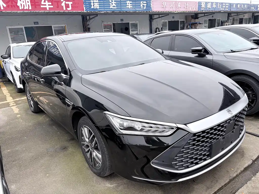 BYD Qin PLUS — фото 3