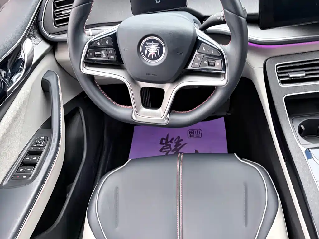 BYD Qin PLUS — фото 8