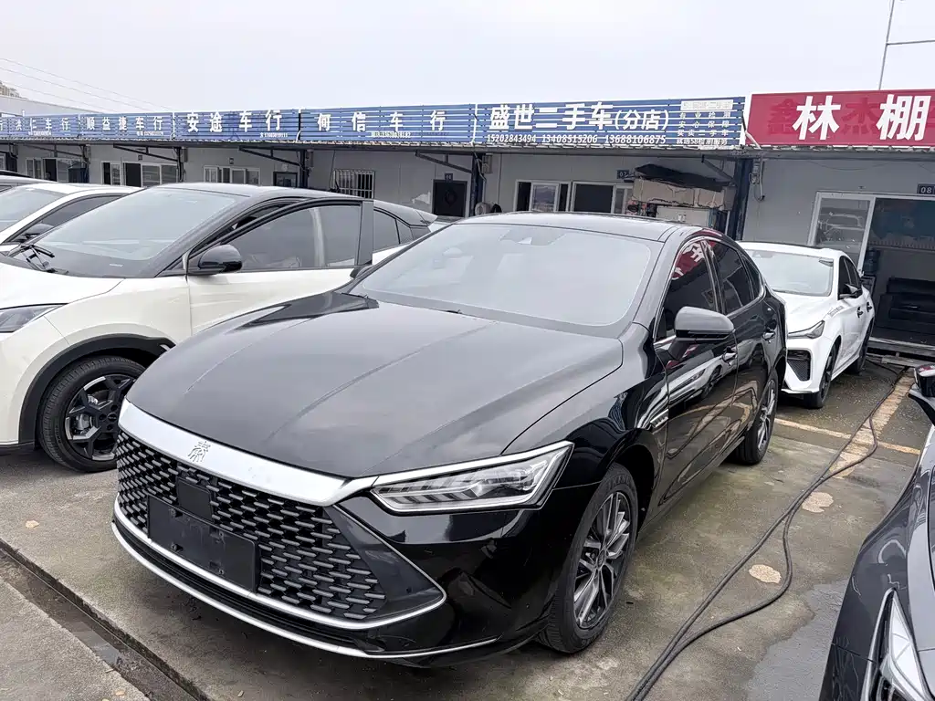 BYD Qin PLUS — фото 1
