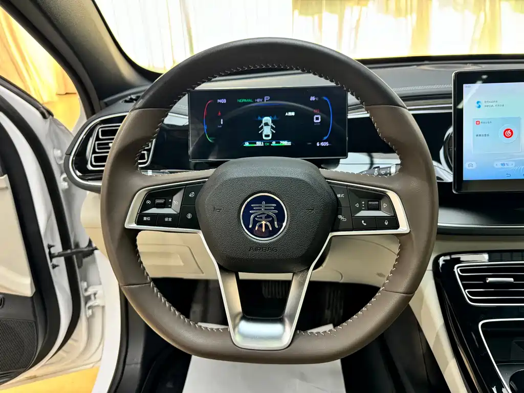 BYD Qin PLUS — фото 14