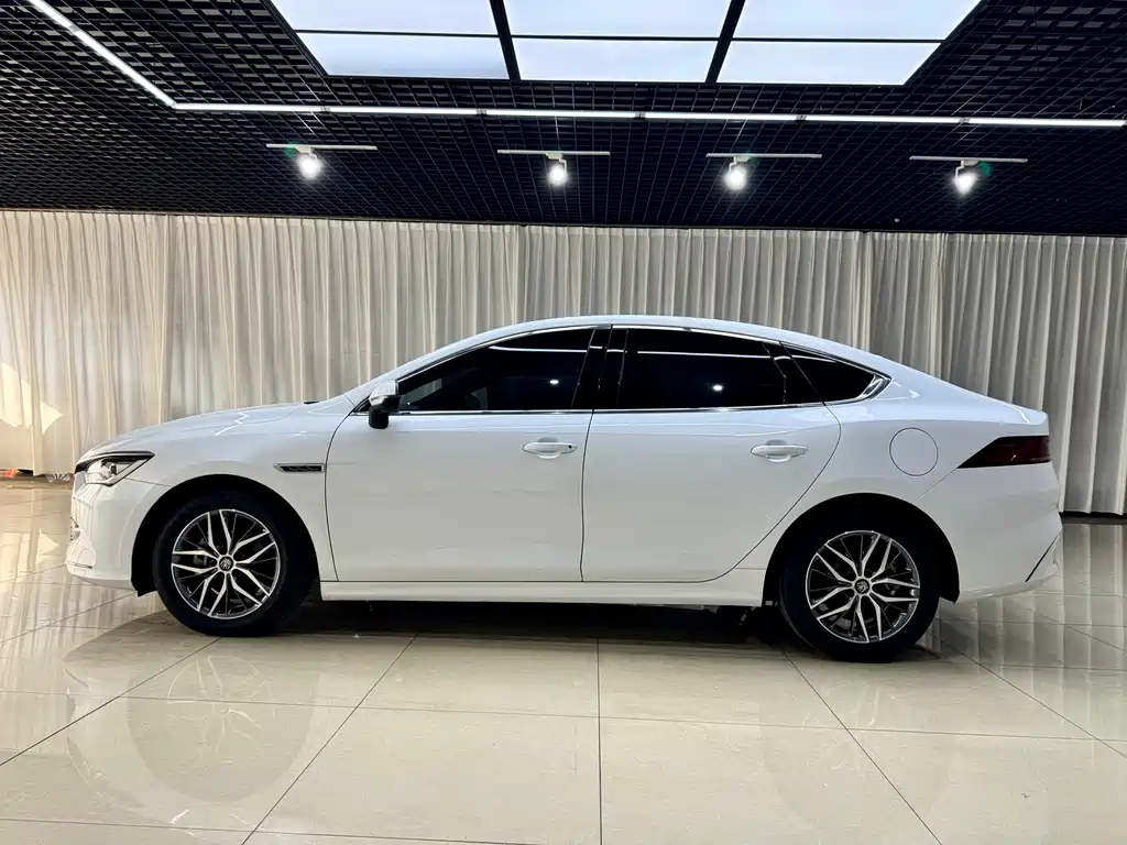 BYD Qin PLUS — фото 7