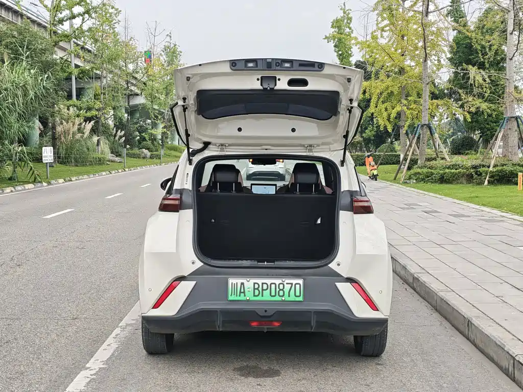 BYD Seagull — фото 18