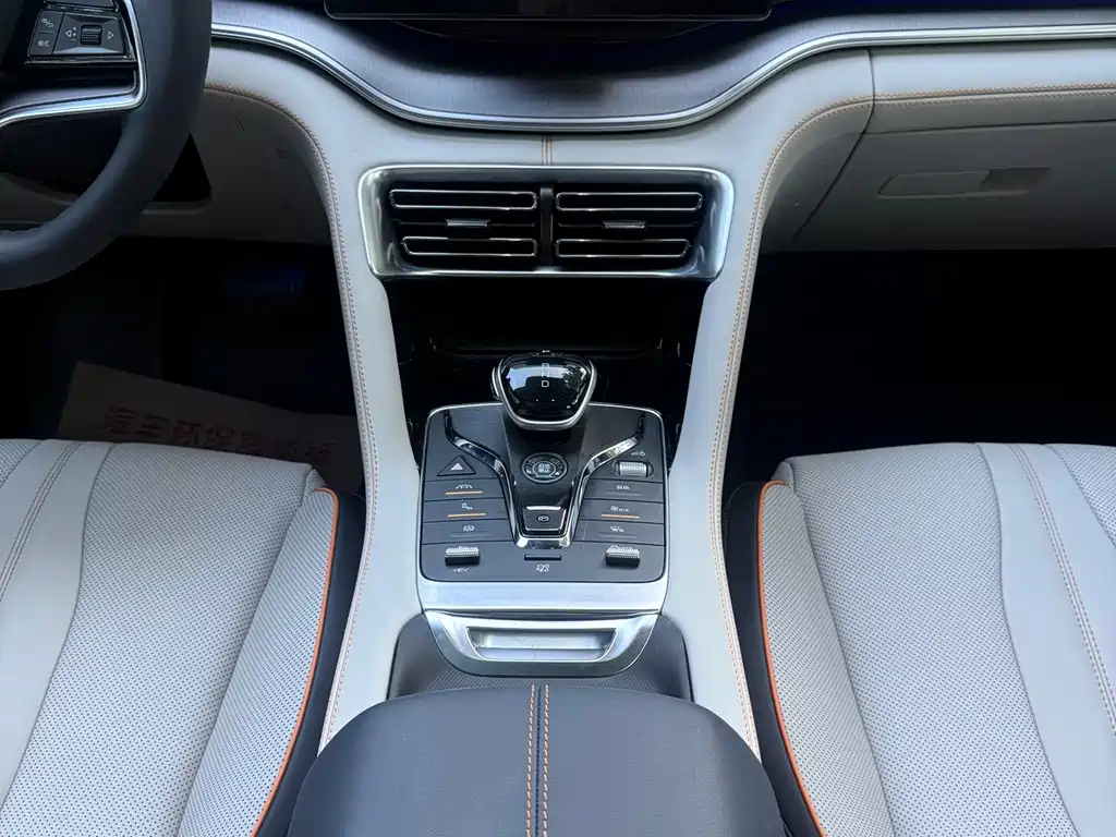 BYD PLUS New Energy — фото 11