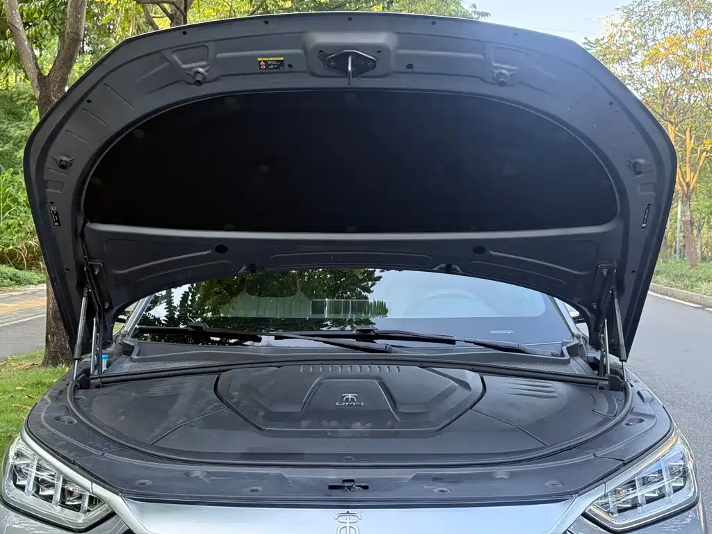 BYD PLUS New Energy — фото 15