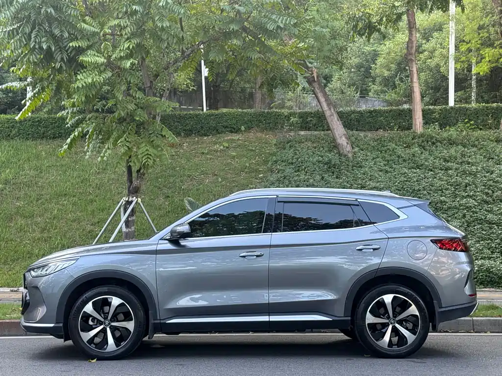BYD PLUS New Energy — фото 3