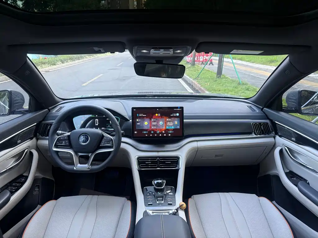 BYD PLUS New Energy — фото 8