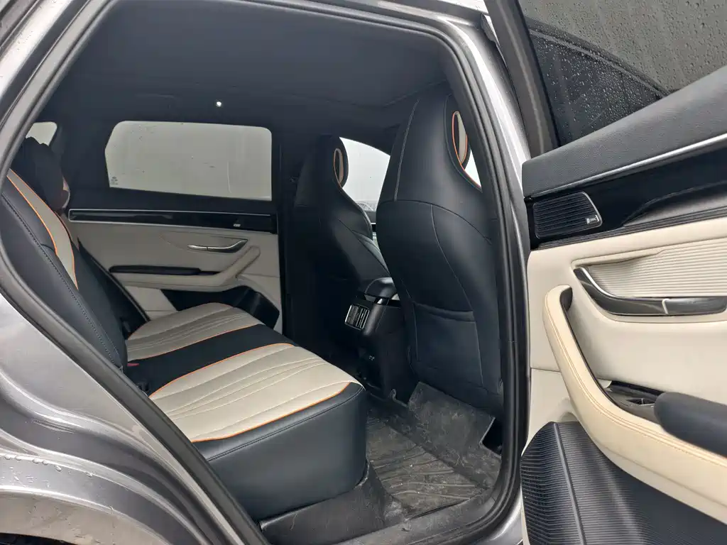 BYD PLUS New Energy — фото 11