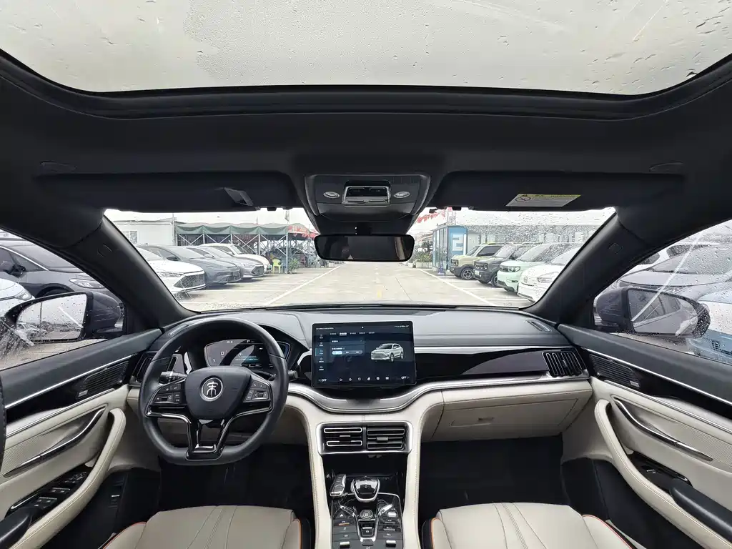 BYD PLUS New Energy — фото 13