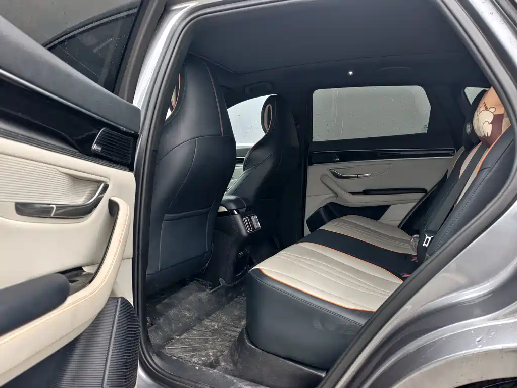 BYD PLUS New Energy — фото 10