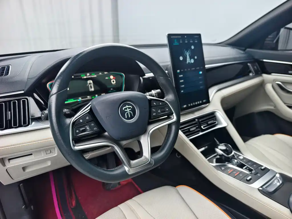 BYD PLUS New Energy — фото 9