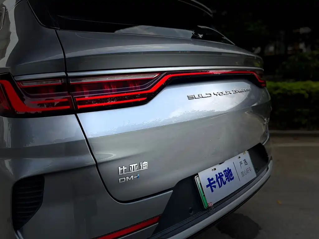 BYD PLUS New Energy — фото 15