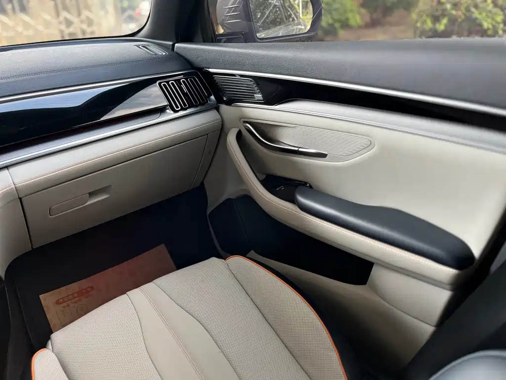 BYD PLUS New Energy — фото 18
